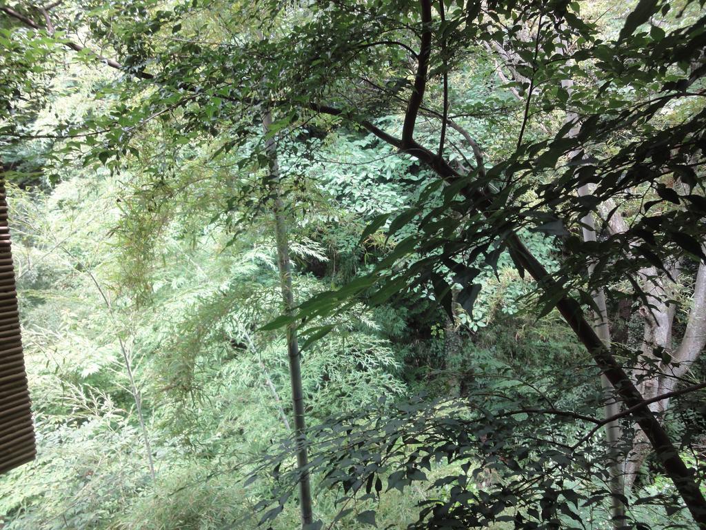 Ryokan Kiritani Hakoneso المظهر الخارجي الصورة